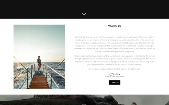 The Ellvitz website home page, Content production.
