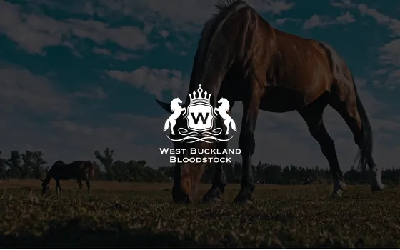 The West Buckland Bloodstock website home page, Bloodstock transport, Taunton.